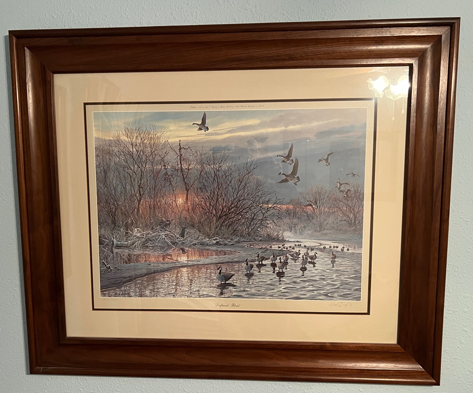 Walnut entire frame.JPG