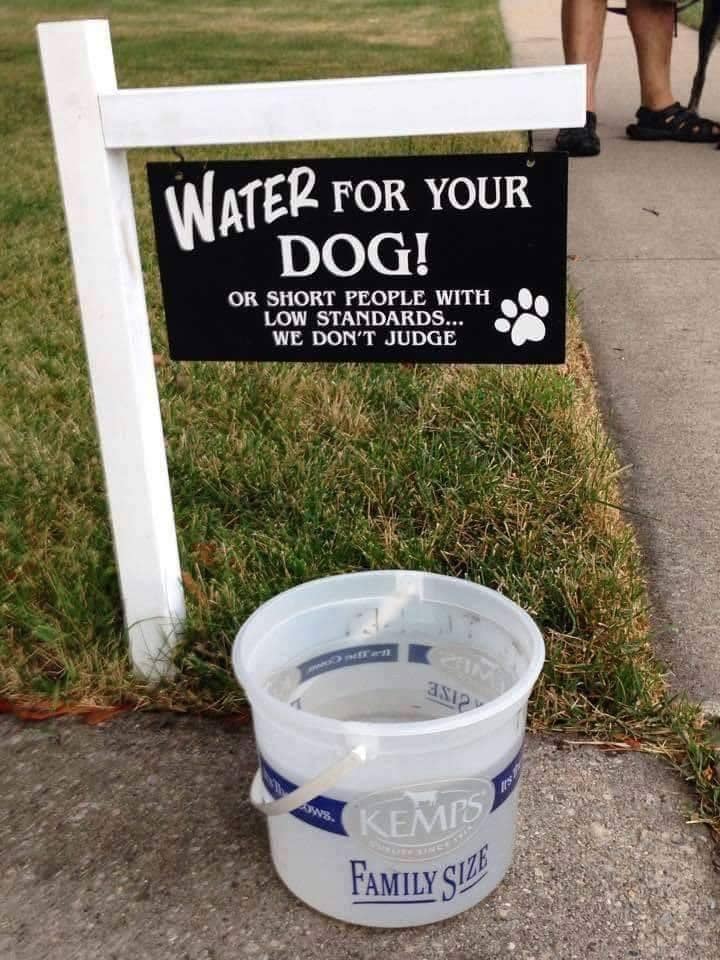 water.jpg