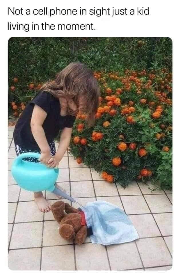 waterboarding teddy.jpg