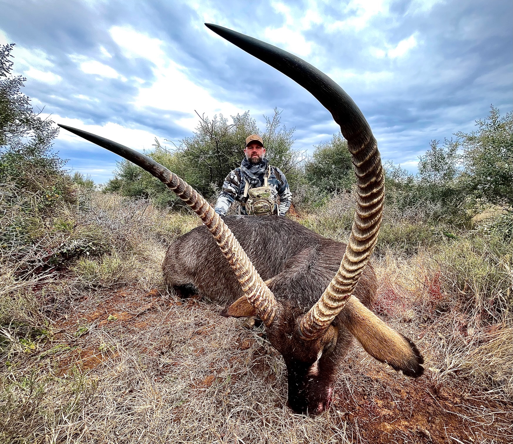 WATERBUCK.jpg