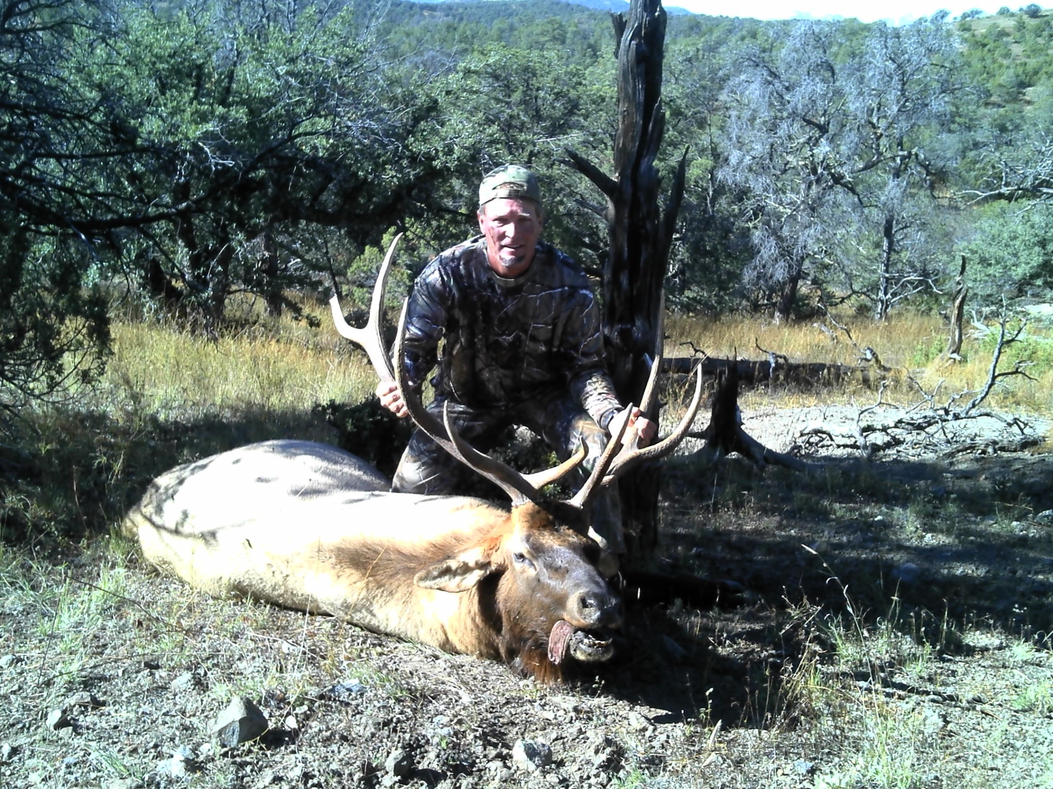 Wayne's Elk.jpg