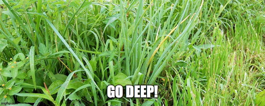 WEEDS MEME.jpg