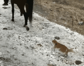 weekend-morning-awesomeness-35-photos-25-5.gif