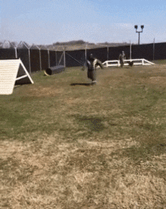 weekly-morning-awesomeness-38-photos-25-3.gif