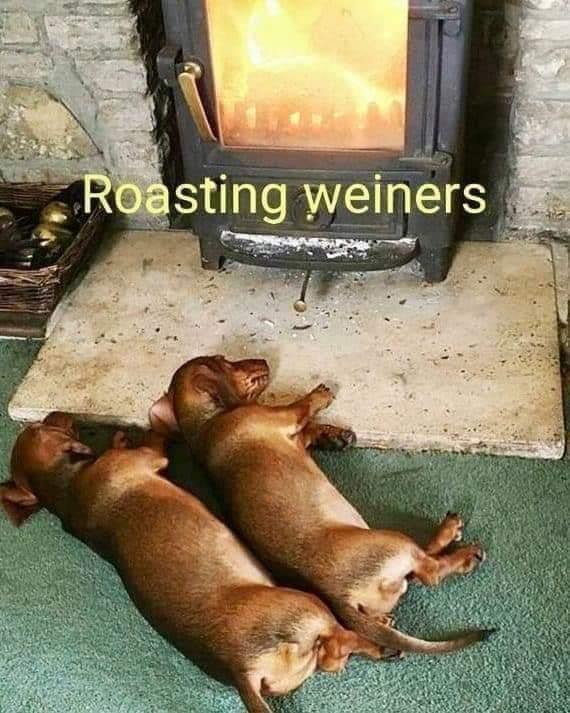 weiners.jpg