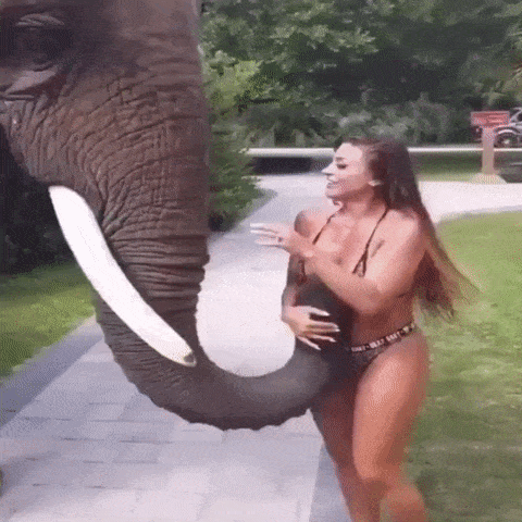 welp-theres-something-you-dont-see-everyday-xx-gifs-5.gif