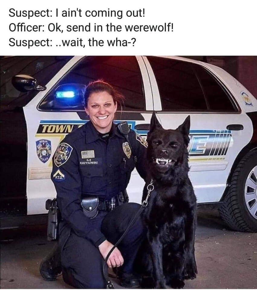 werewolf.jpg