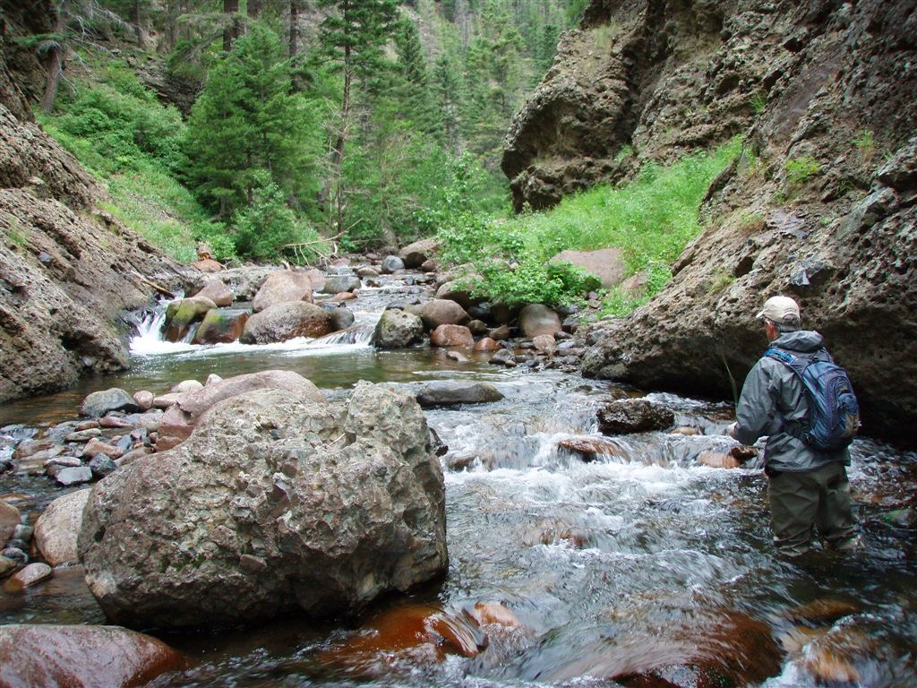 West Fork - 1.jpg