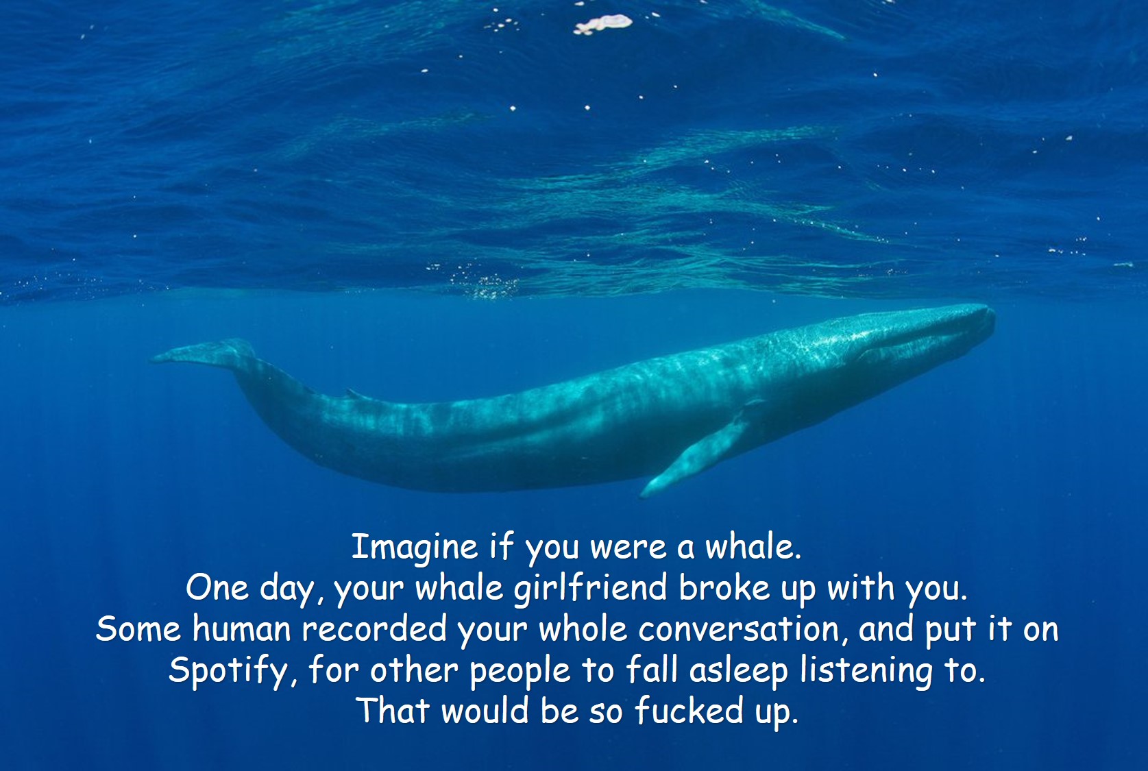Whale breakup.jpg