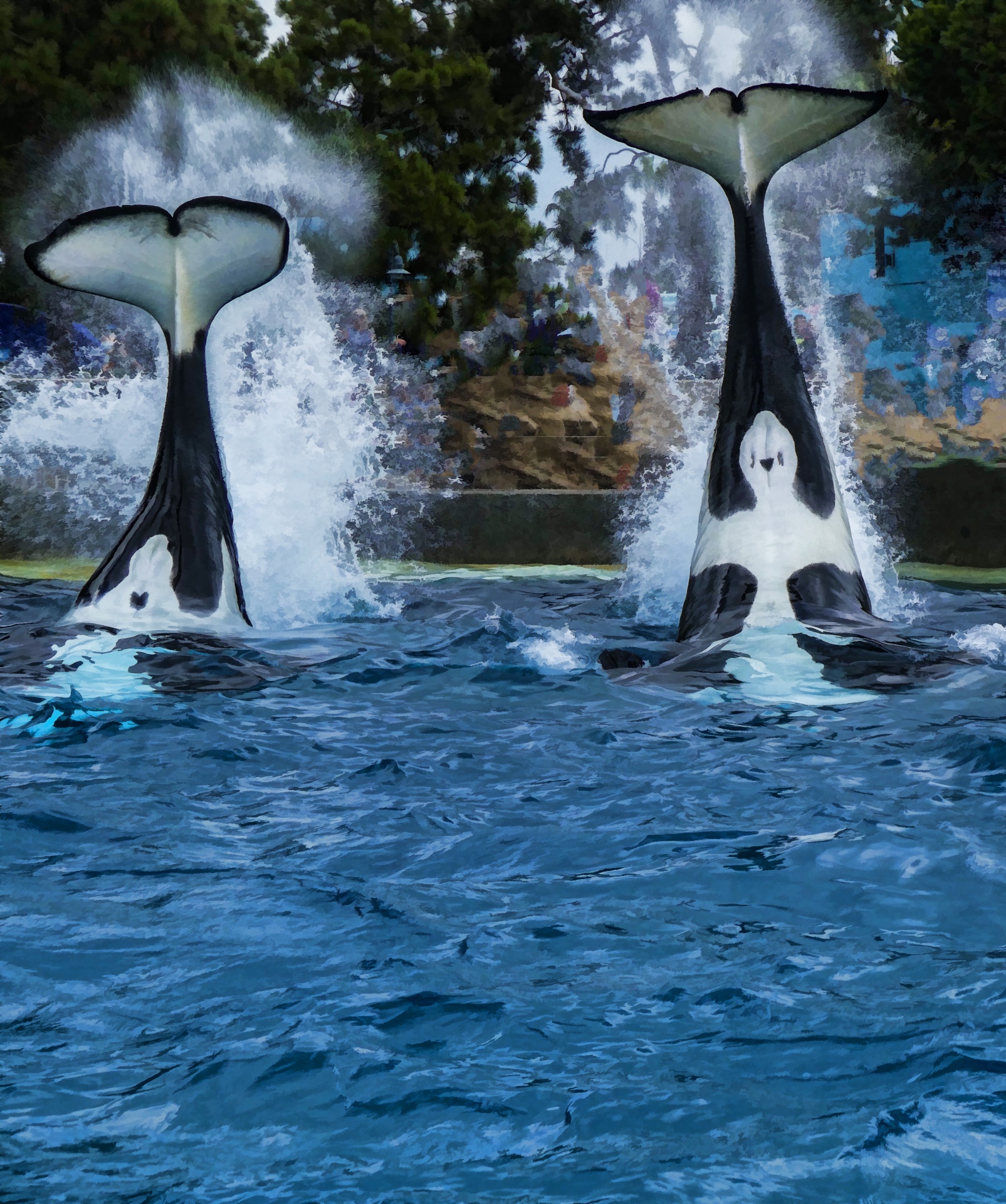 whale-tails.jpg