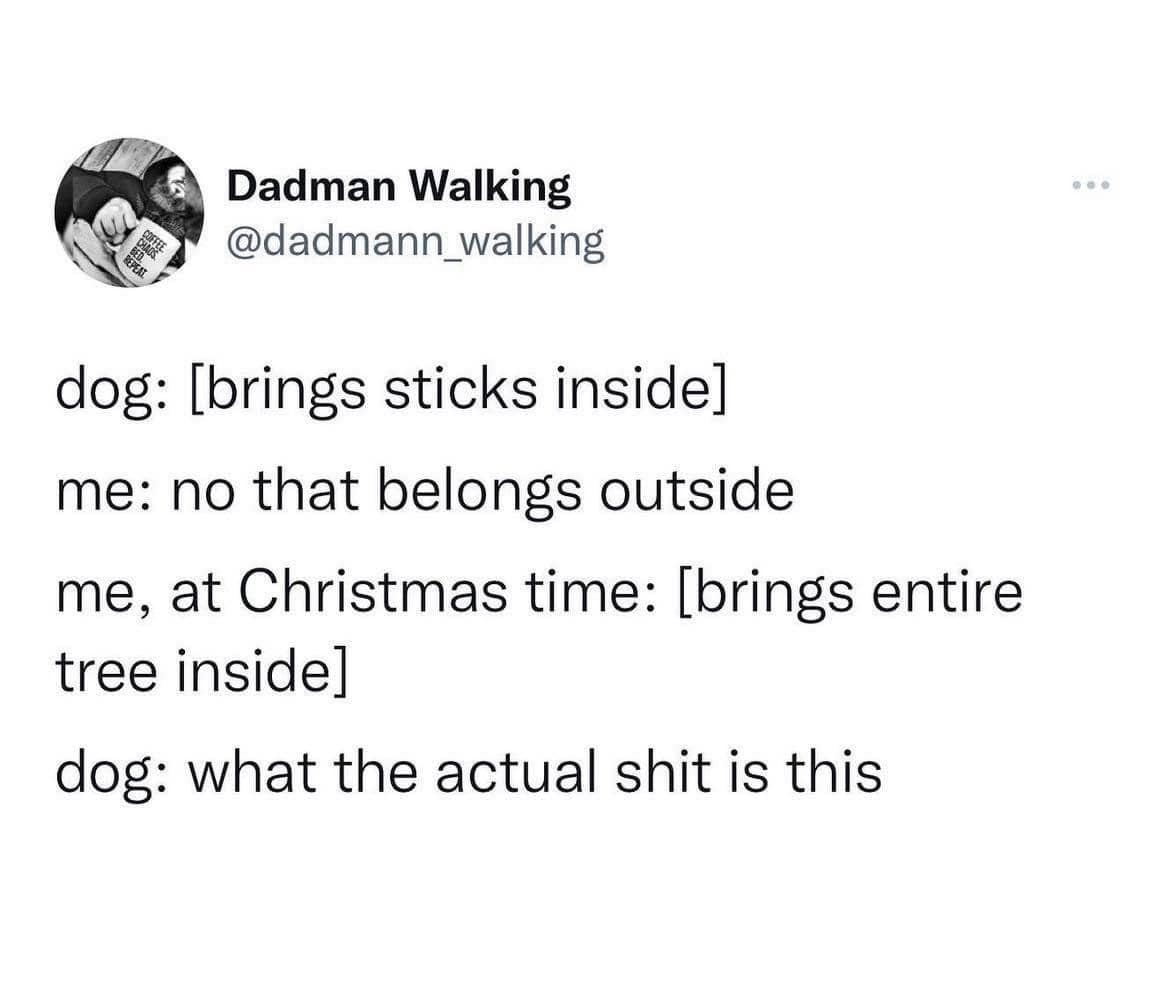 what-da-shit.jpg