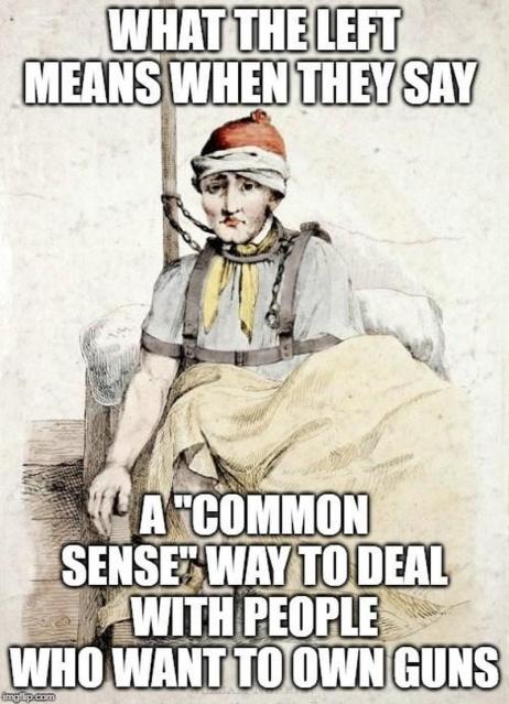 What the Left Means.jpg