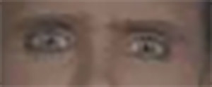 whatever.jpg