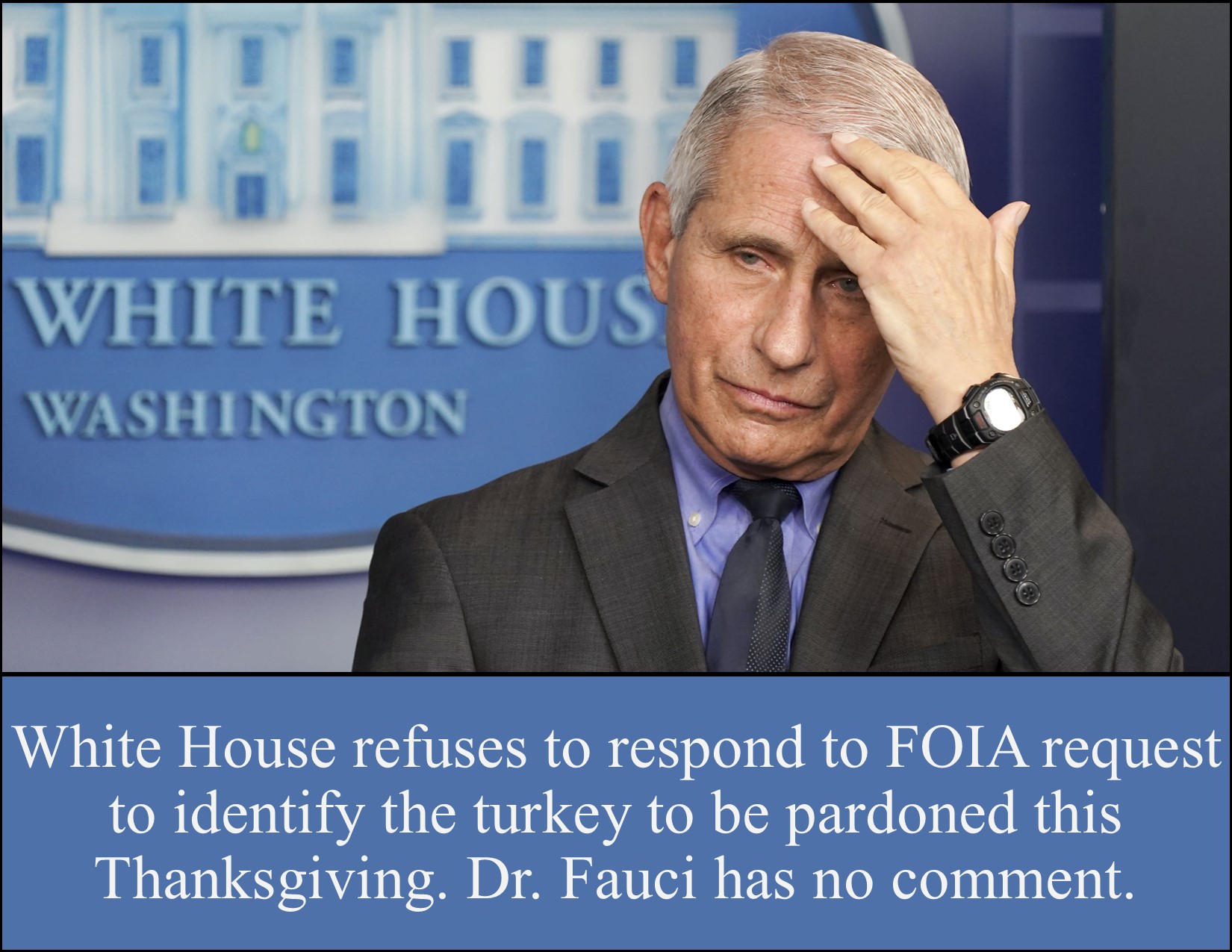 White House Turkey.jpg