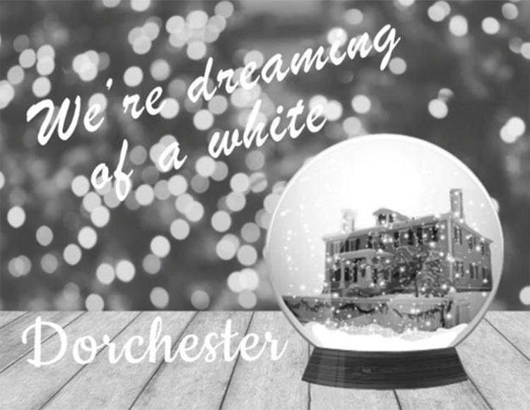 white_dorchester.png