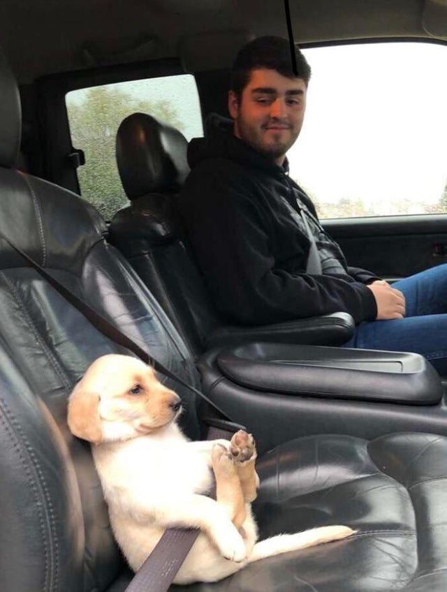 wholesomememes9.jpg