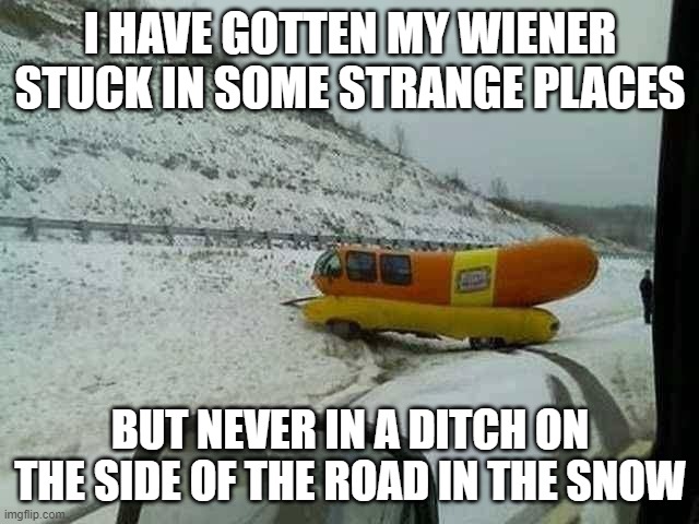wiener.jpg