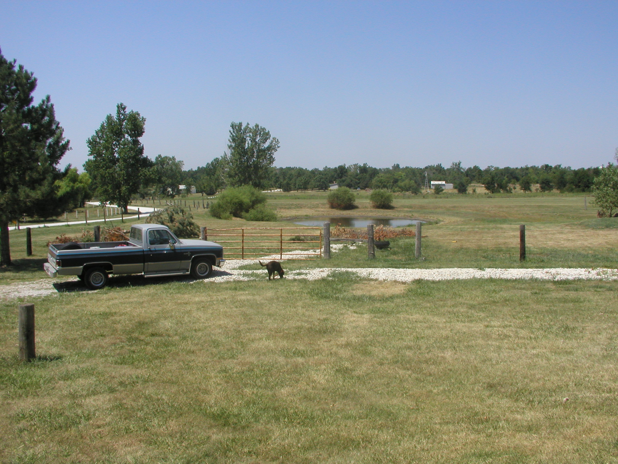 wilbur drypond.png