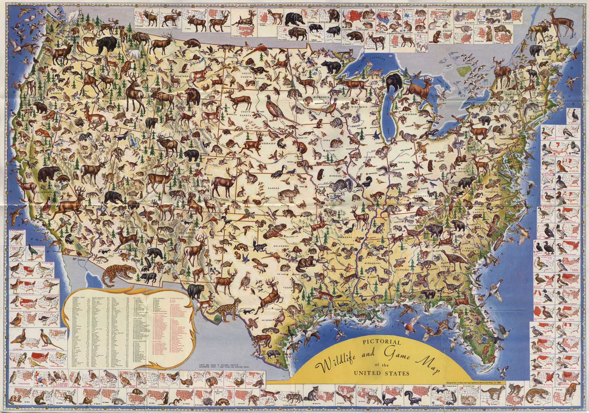 wildlife-of-the-united-states.jpg