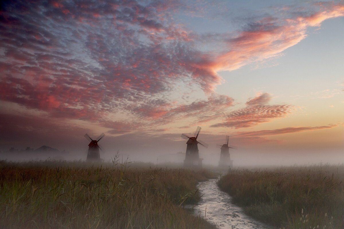 windmills.jpeg