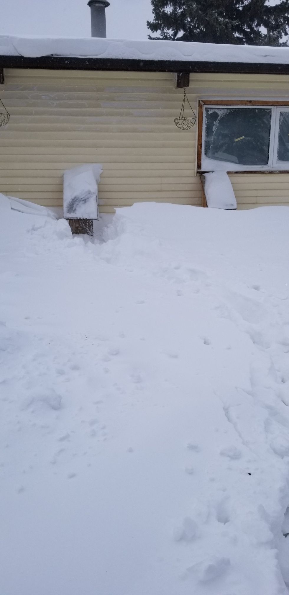 Winter Snorkel '22.jpg