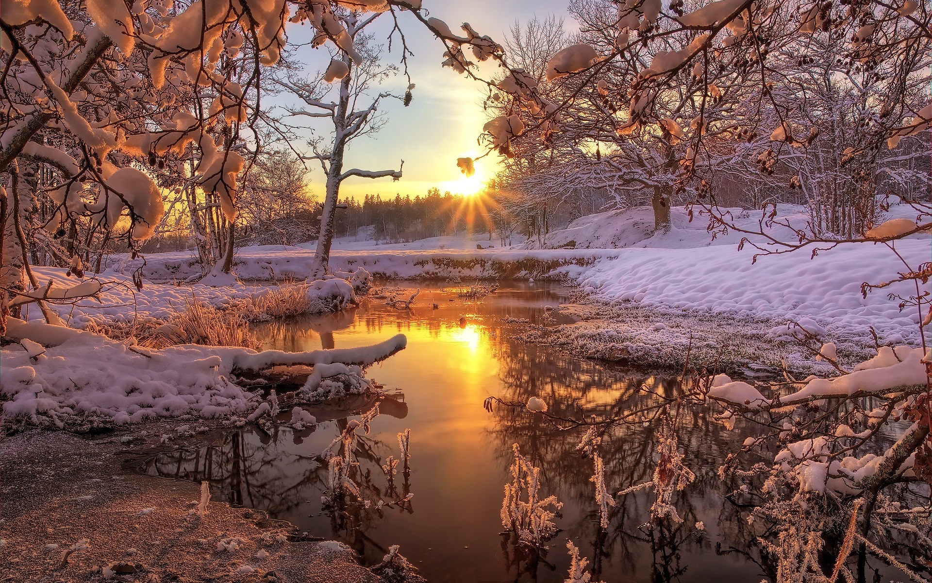 winter-snow-forest-trees-river-dawn-sunrise-1080P-wallpaper.jpg