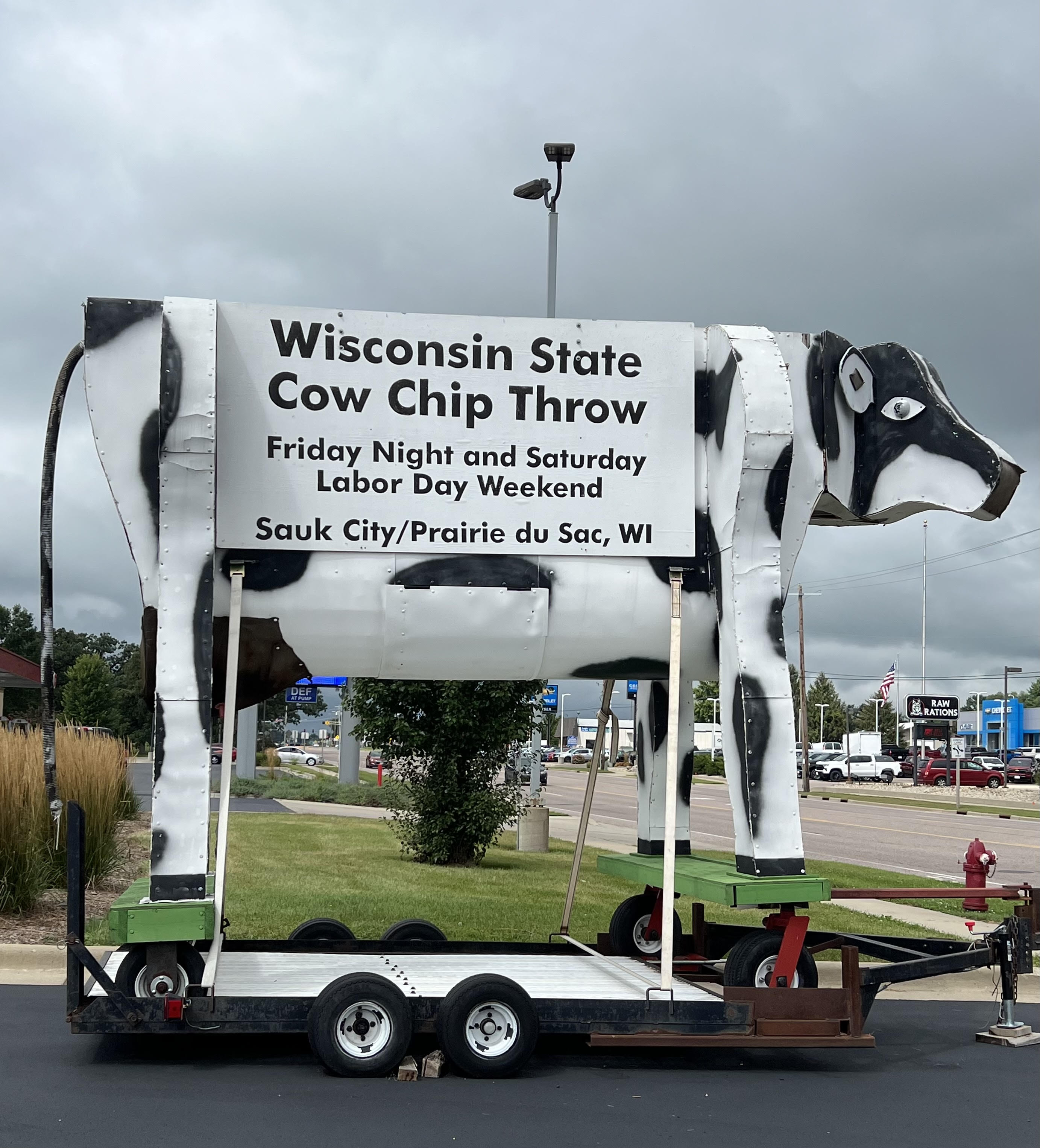 Wisconsin Cow Chip Throw.jpg