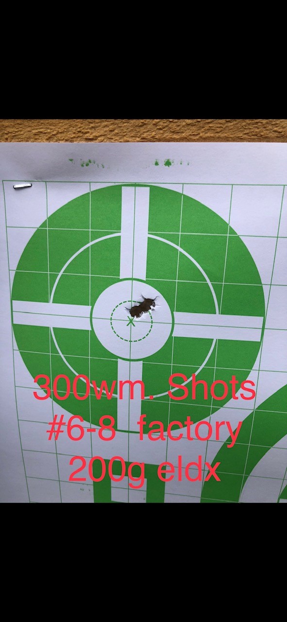 wm target.jpg
