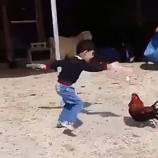WNbSVKG.gif