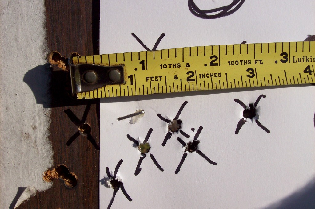 wolf 2.75 inch group.jpg