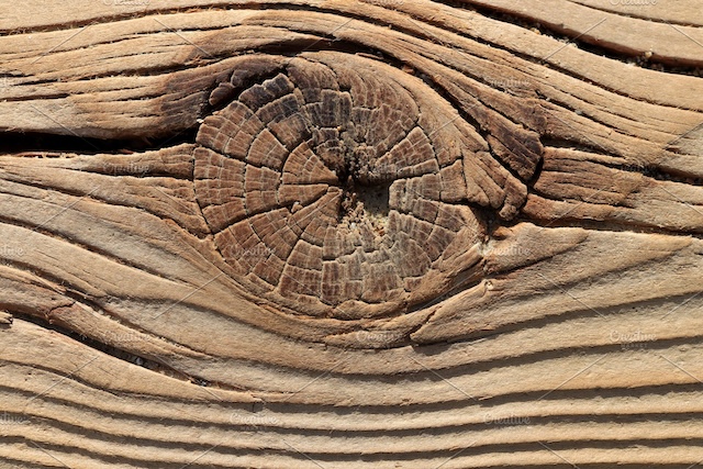wood knot.jpg
