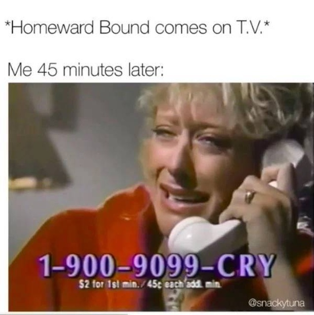 7035869
