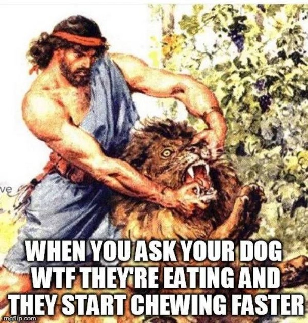 7035871