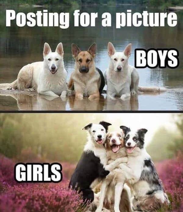 woof_dog_memes_640_high_26.jpeg