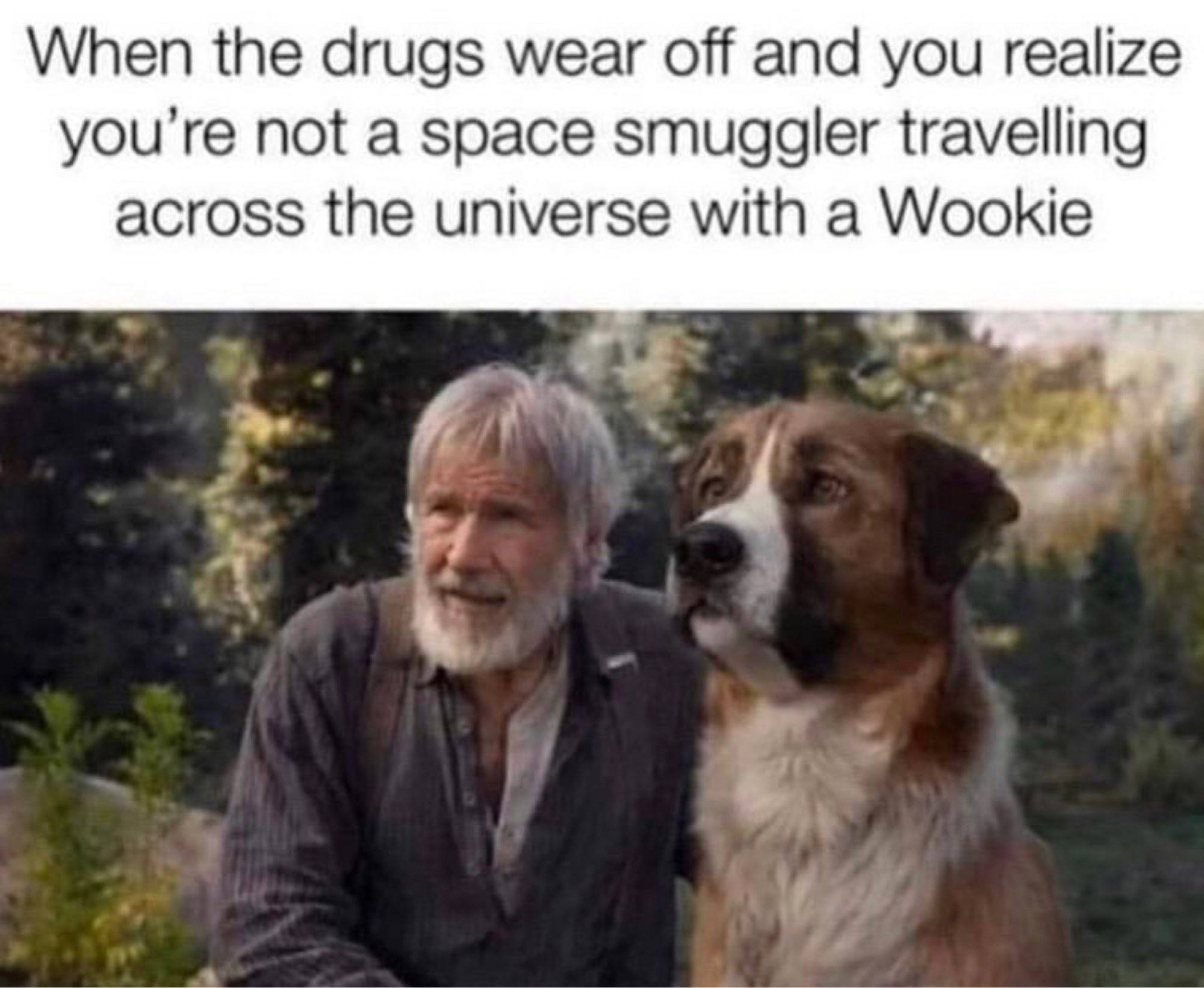 wookie.jpeg