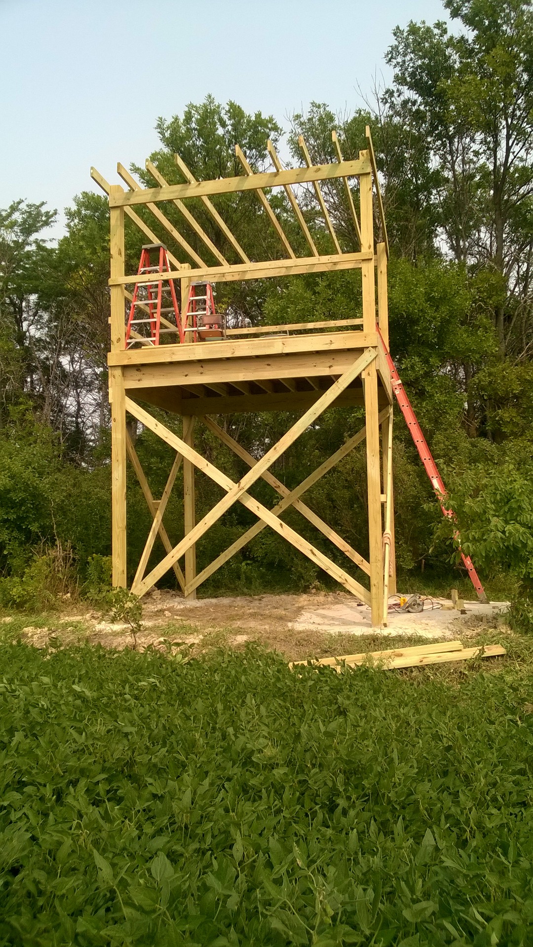 WP_20180818_001.jpg
