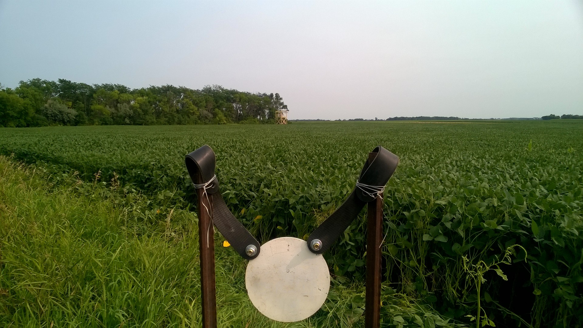 WP_20180818_005.jpg