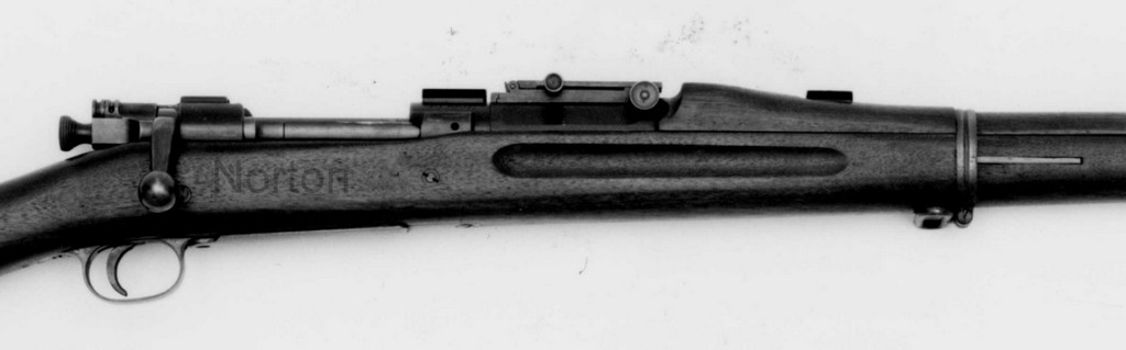WRA a5 side view up close.jpg