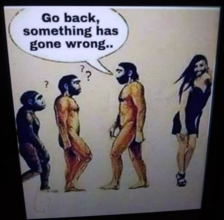 Wrong.JPG
