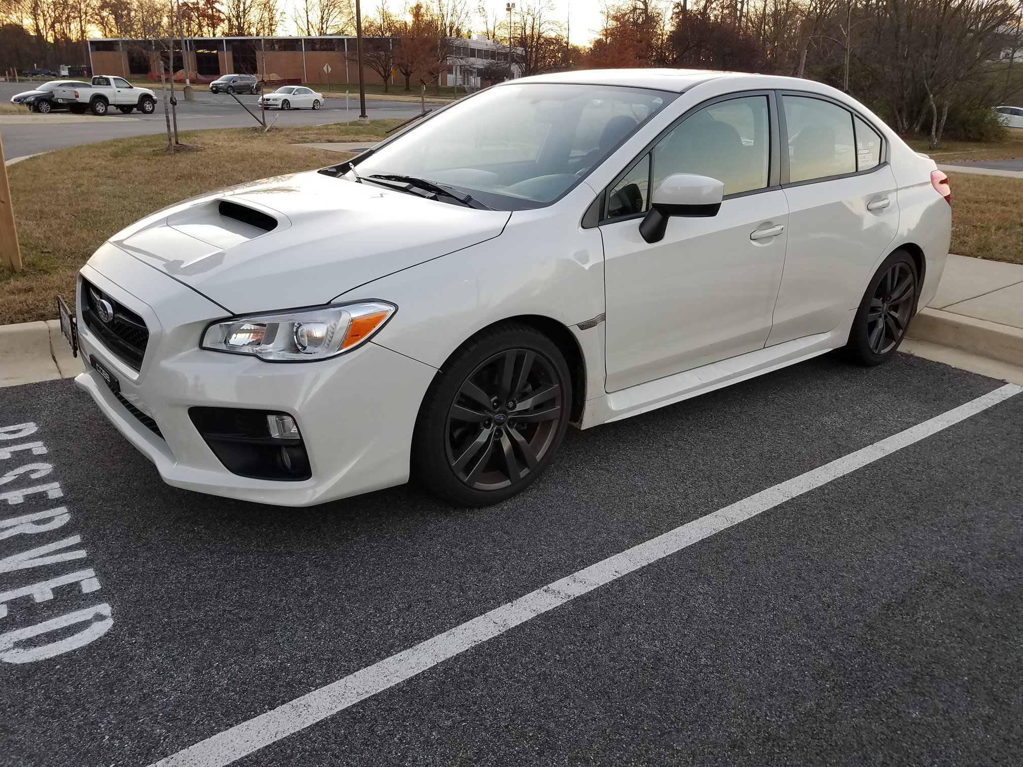 WRX.jpg