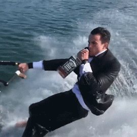 XjvlA5r.gif
