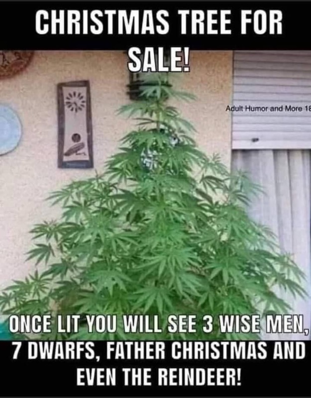 xmas.jpg
