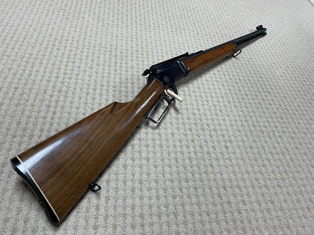 xP6DtXel.jpg