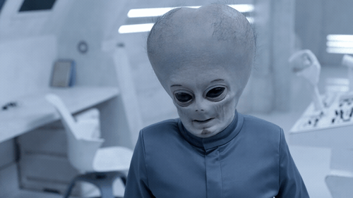xT39Dd5mXnqXQANdQY.gif
