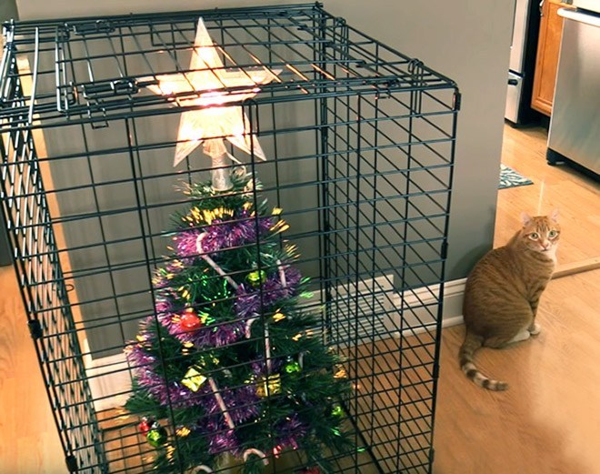 xtree1.jpg