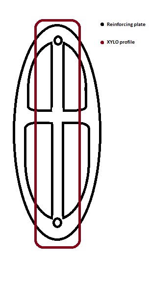 xylopachmyer.jpg