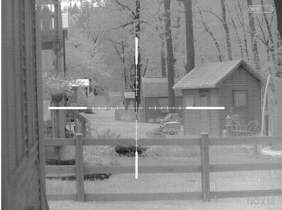 yard1.JPG