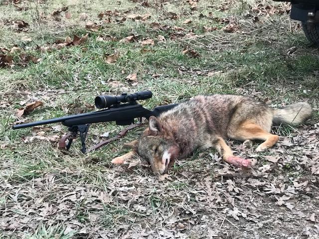yote 1 -2020.jpg