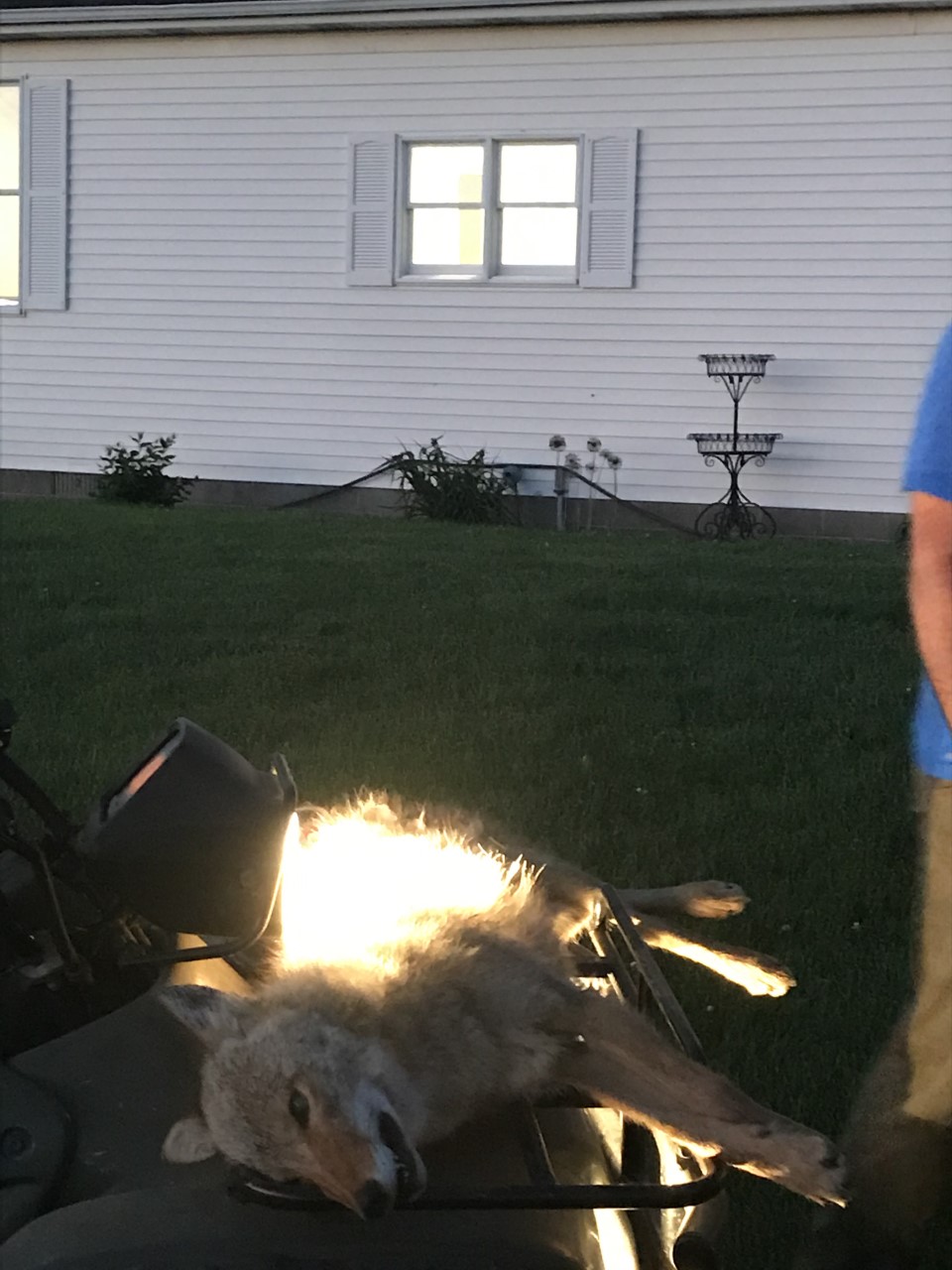 Yote 2020 1.jpg