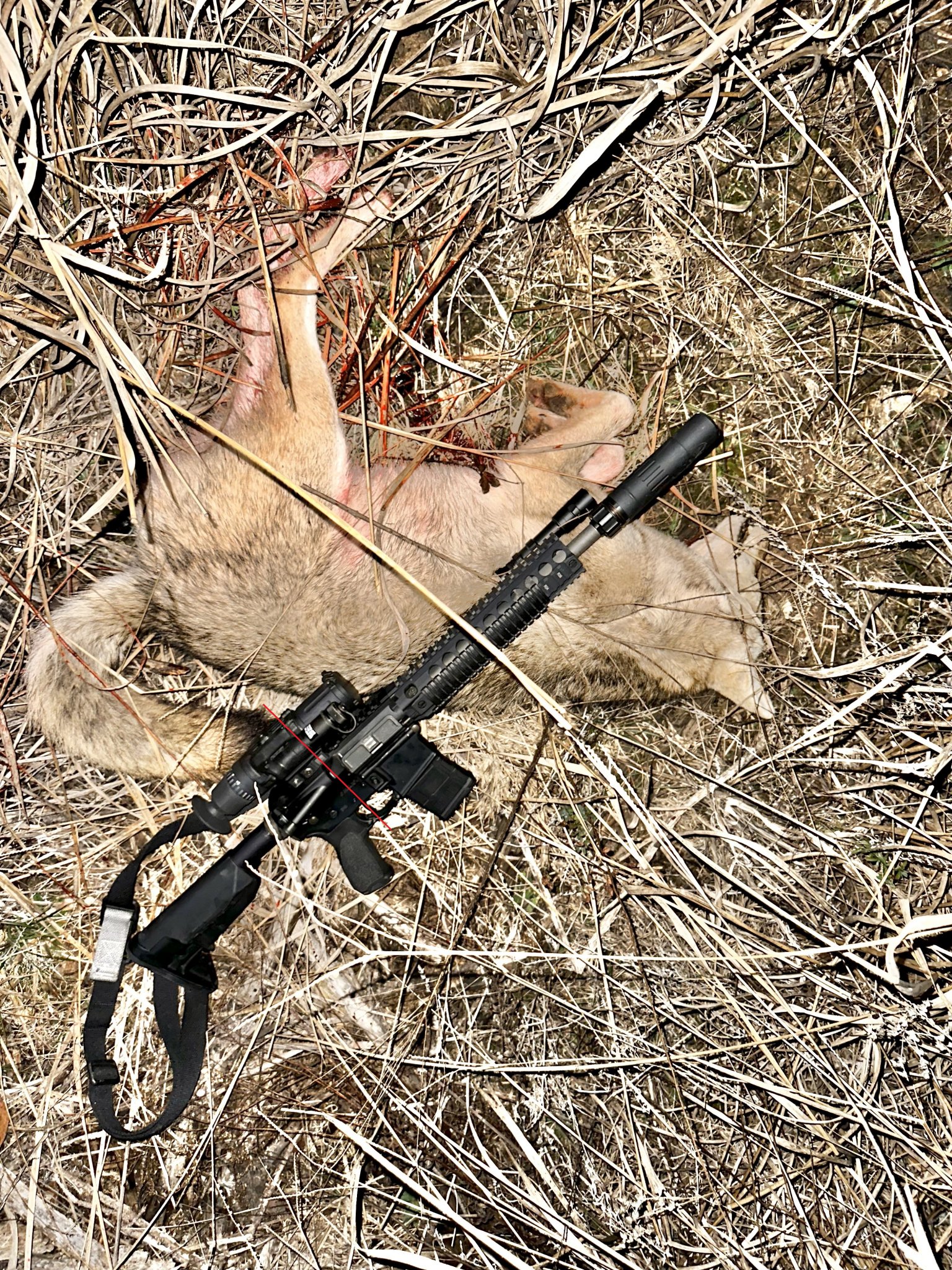yote.jpeg